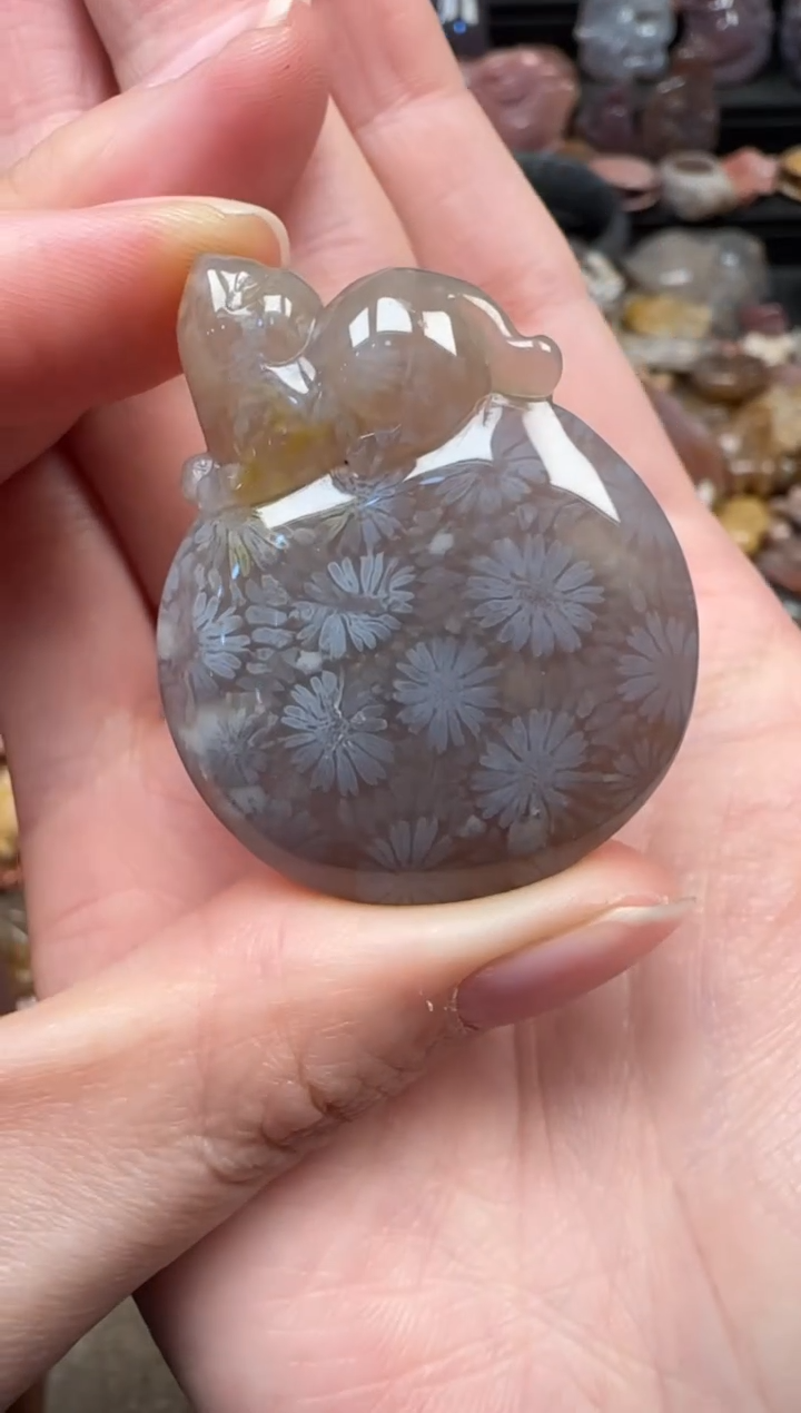 颈饰未镶嵌硅化珊瑚（珊瑚玉）450