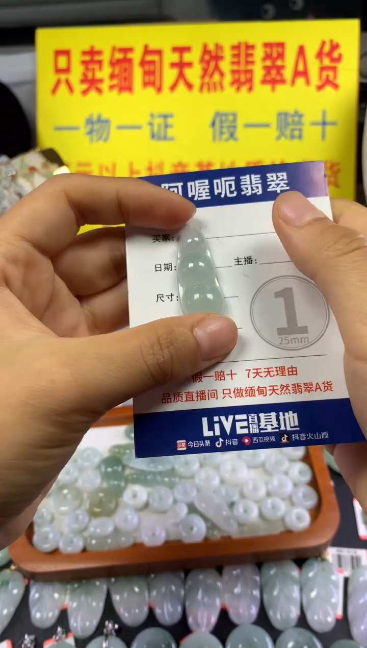 颈饰未镶嵌翡翠福豆