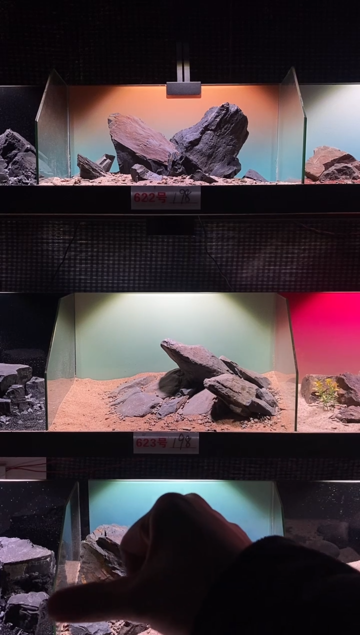 623号鱼缸造景（不含底砂）