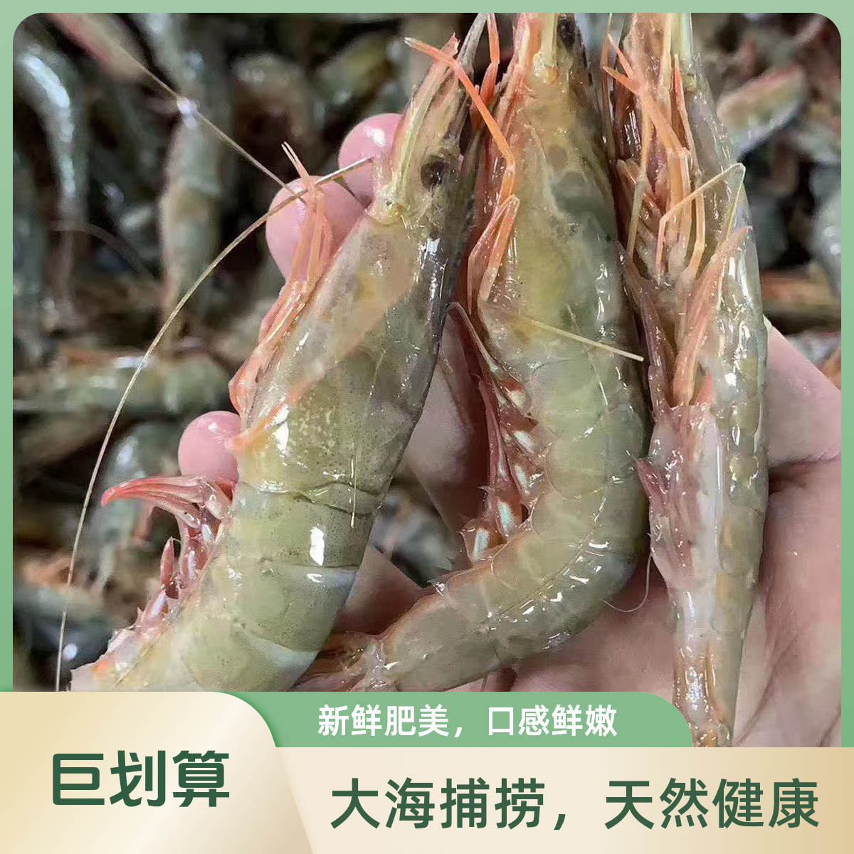 【野生滑皮虾】自家渔船 东海海捕野生个头好品质好顺丰包邮