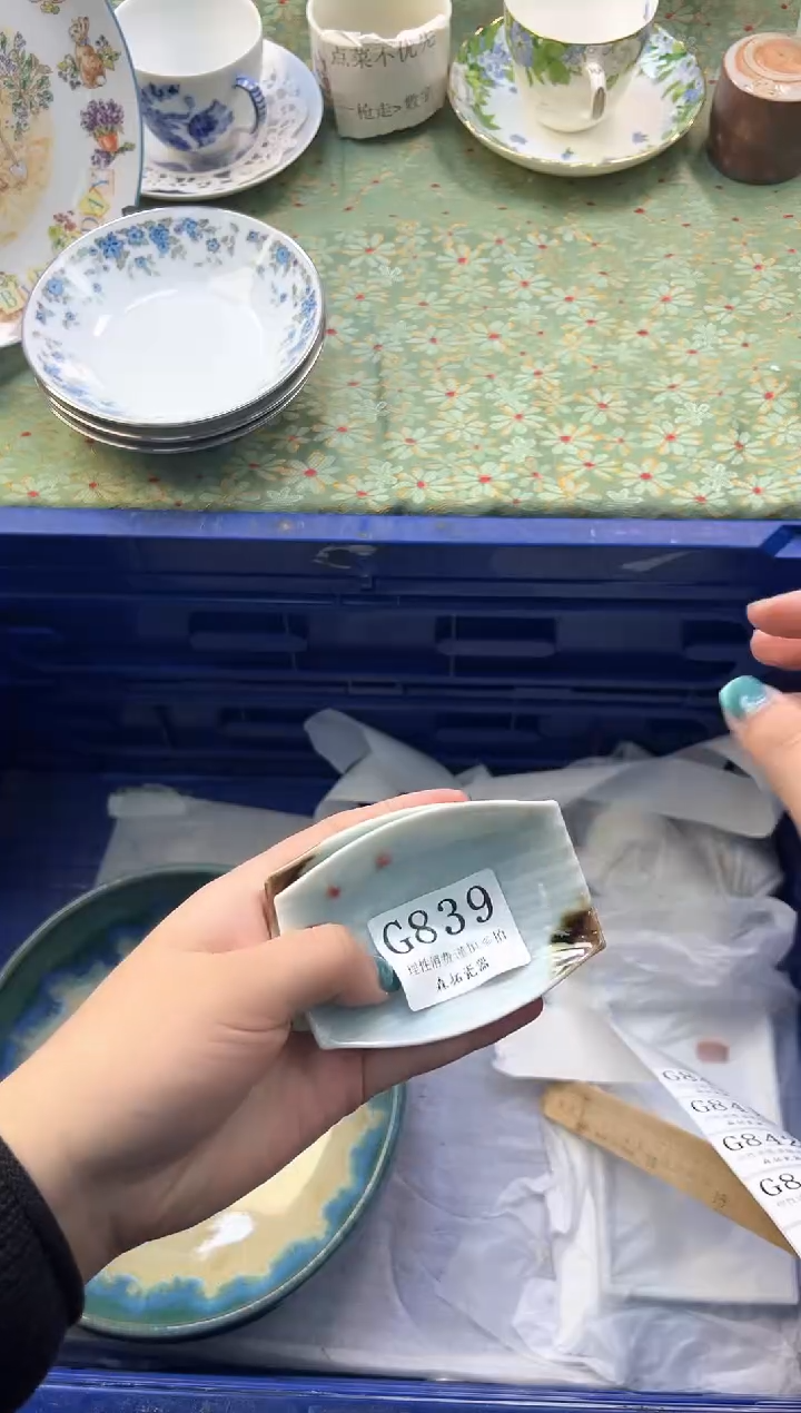 【闪购商品】瓷片          G839