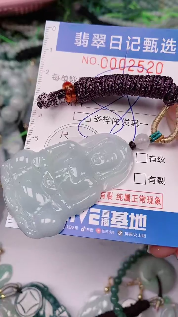 【闪购商品】翡翠颈饰未镶嵌00002520