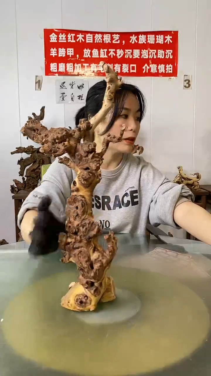 木I金丝红木 羊蹄甲