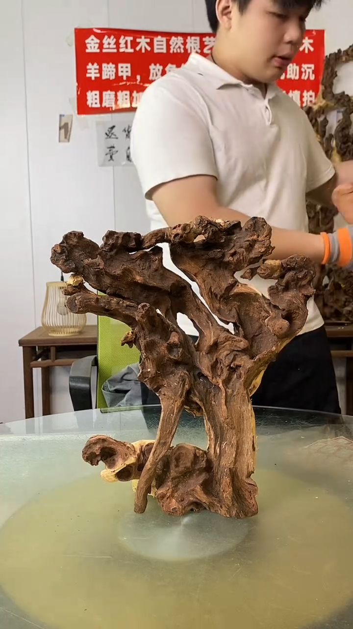 木俊*金丝红木 羊蹄甲