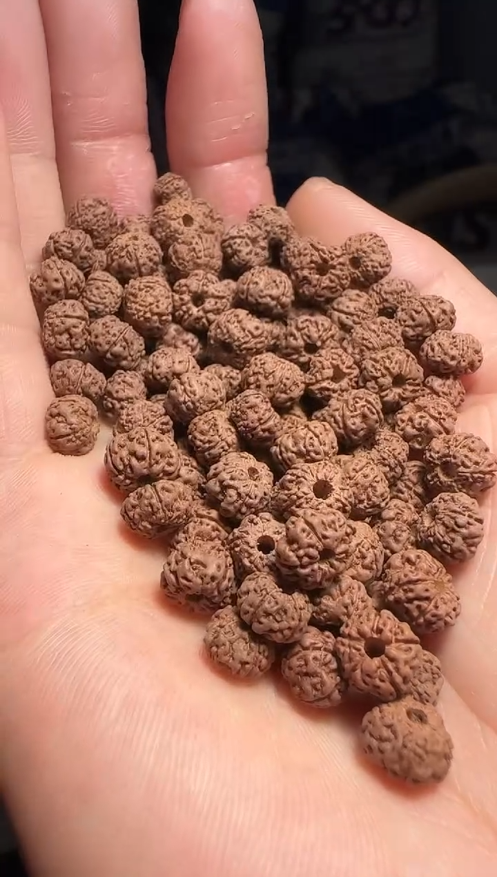 手串金刚菩提非全品平细散籽7mm-8mm一份一百颗