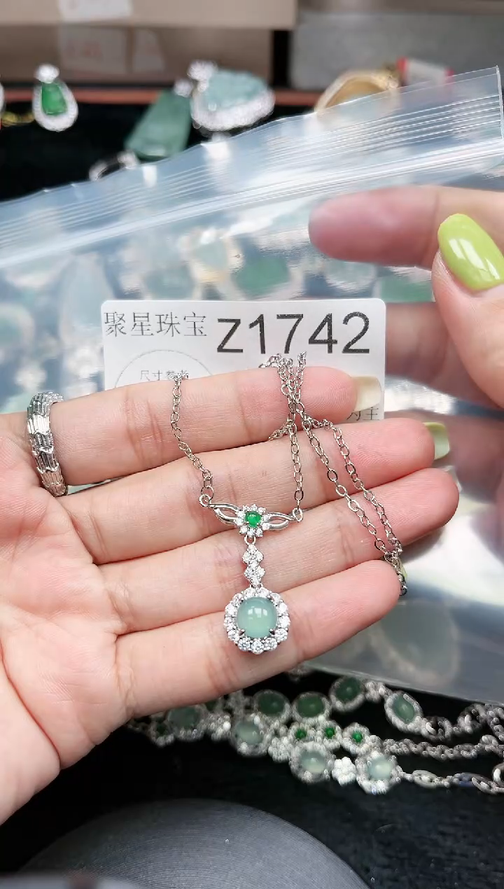 【闪购商品】翡翠颈饰未镶嵌1742赠皮绳