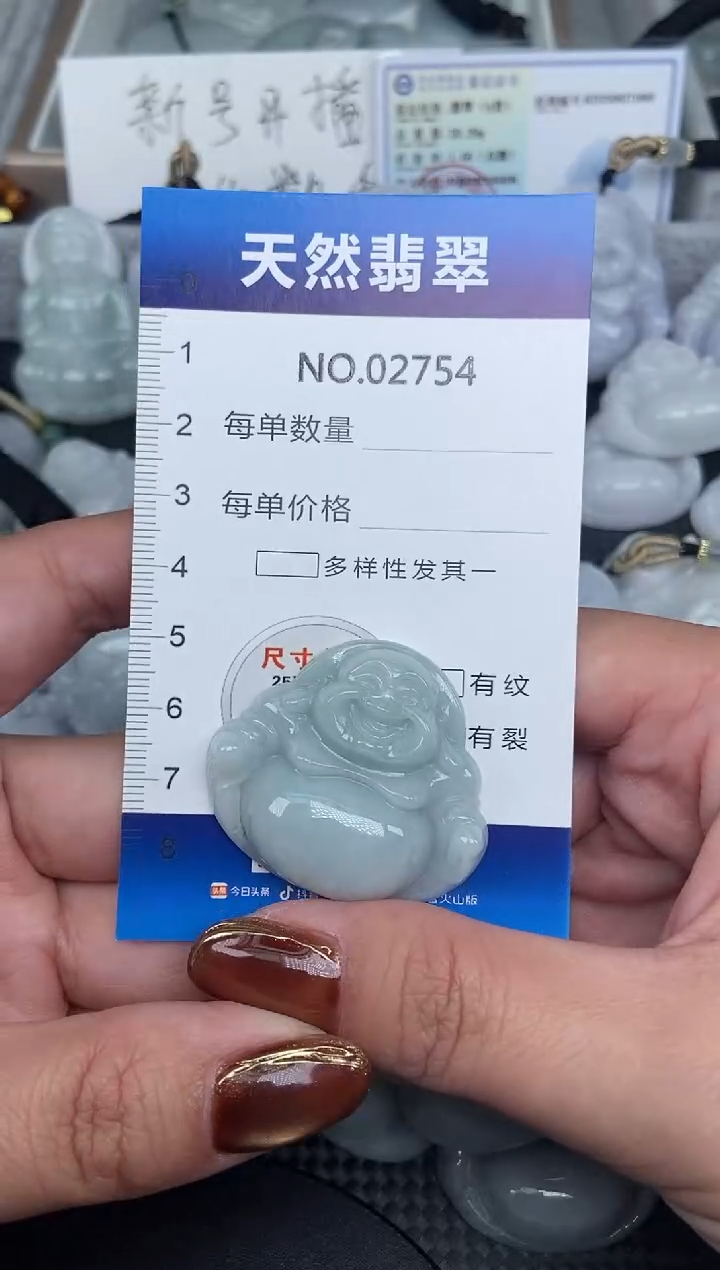 颈饰未镶嵌翡翠纯天然A货翡翠2754
