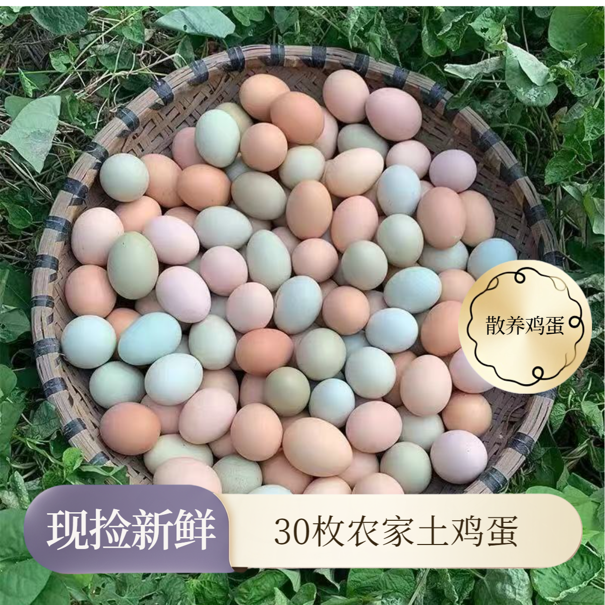 正宗土鸡蛋：绿壳蛋，乌鸡蛋，散养土鸡蛋，精品大个