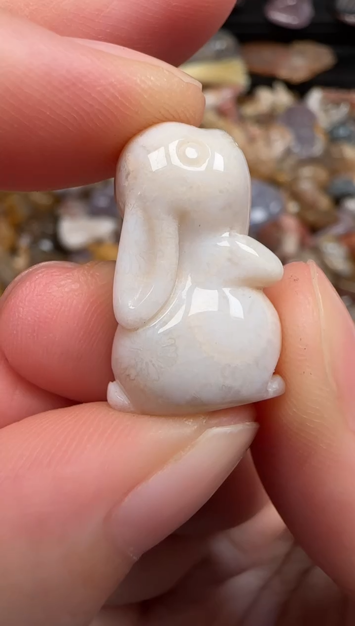 硅化珊瑚（珊瑚玉）未镶嵌颈饰260