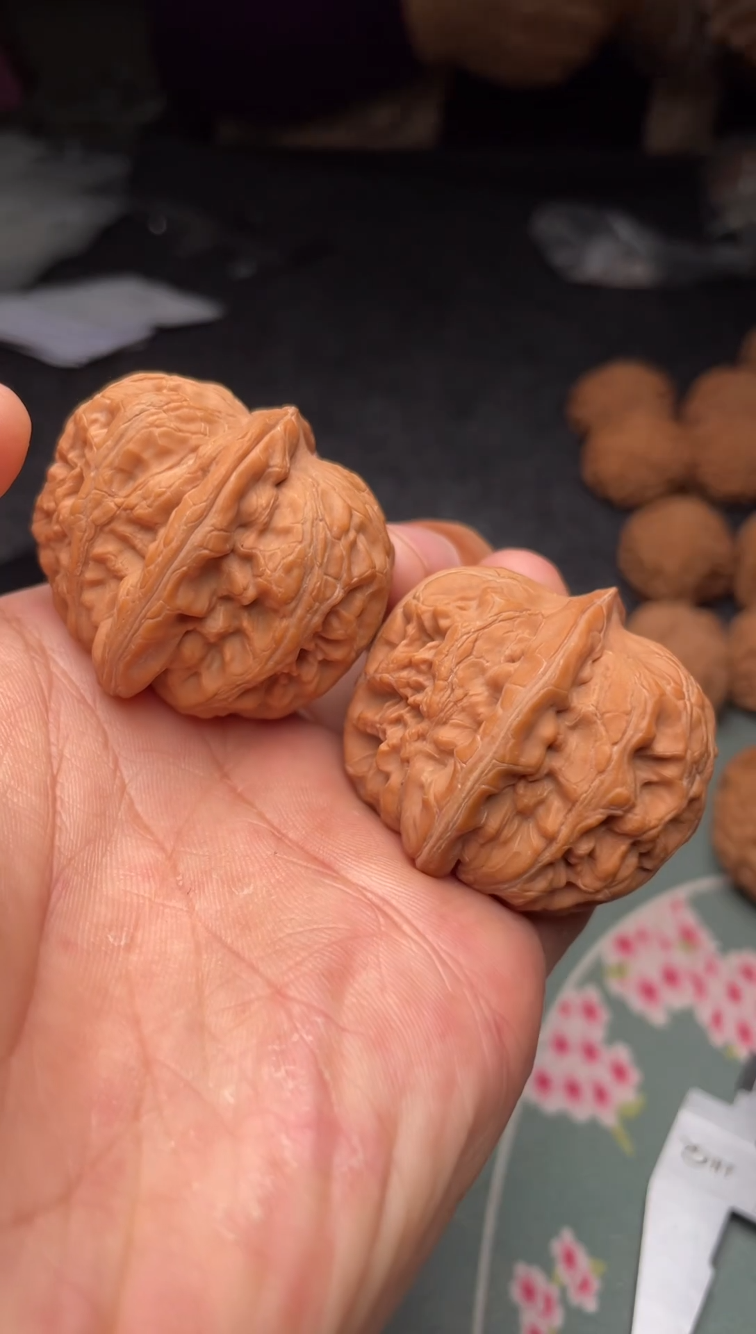 把件文玩核桃a315   元宝  小水尖   42尺