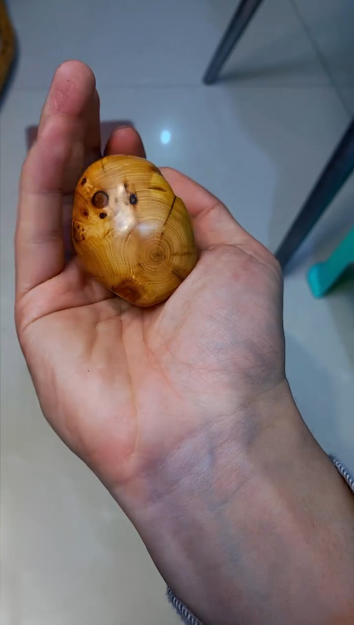 【闪购商品】柏木64崖柏崖柏崖柏崖柏崖柏