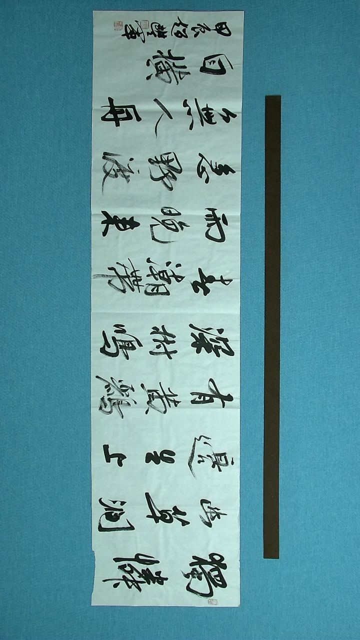 【闪购商品】书法082  河南赵丰军 中书协138*34