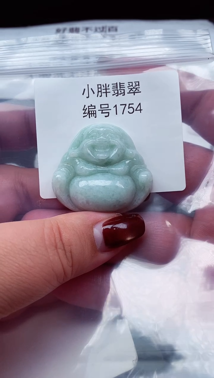颈饰未镶嵌翡翠缅甸天然A货翡翠1754