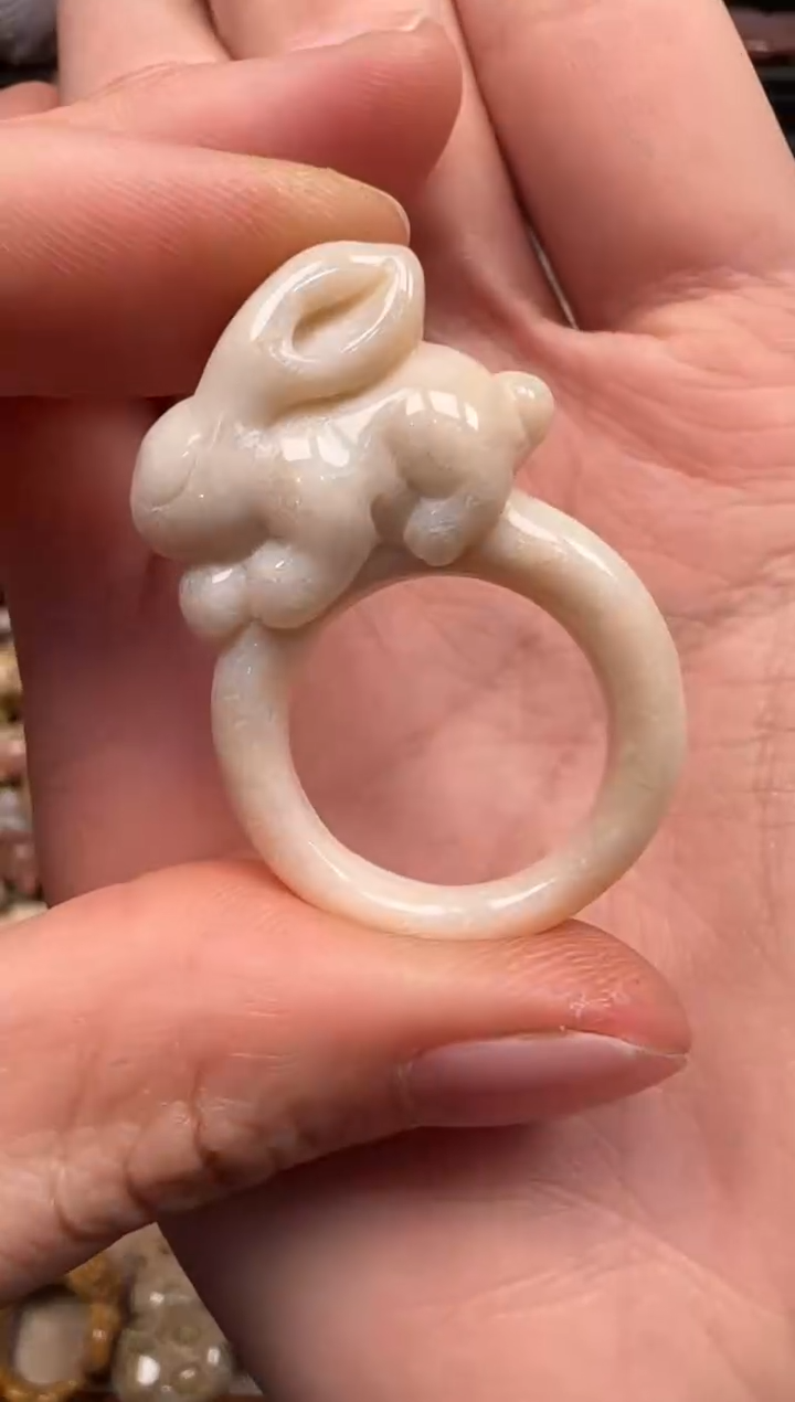 【闪购商品】硅化珊瑚（珊瑚玉）颈饰未镶嵌456