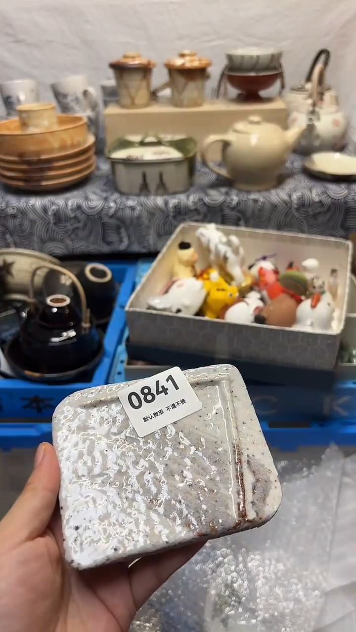 瓷片漂***朵喵喵家都是大漂亮