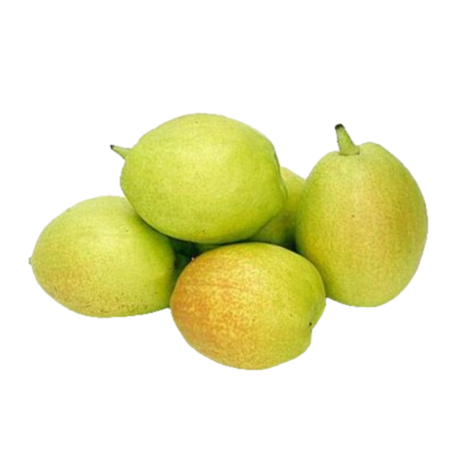 库尔勒香梨 500 克新鲜水果