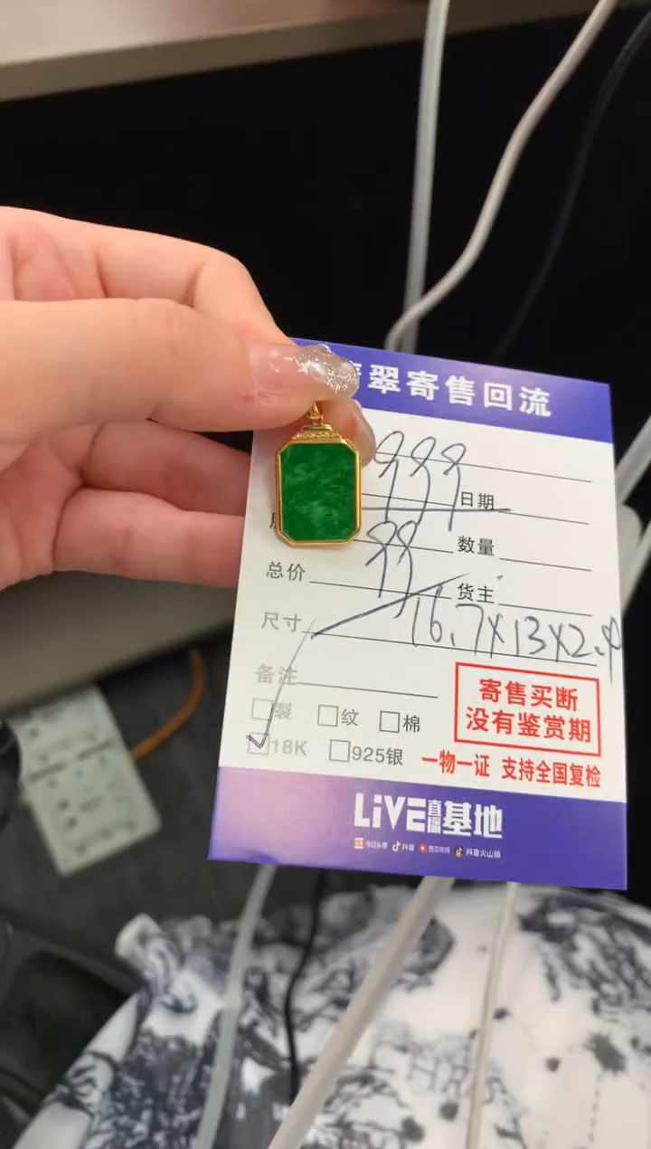 翡翠18K金镶嵌颈饰21013847