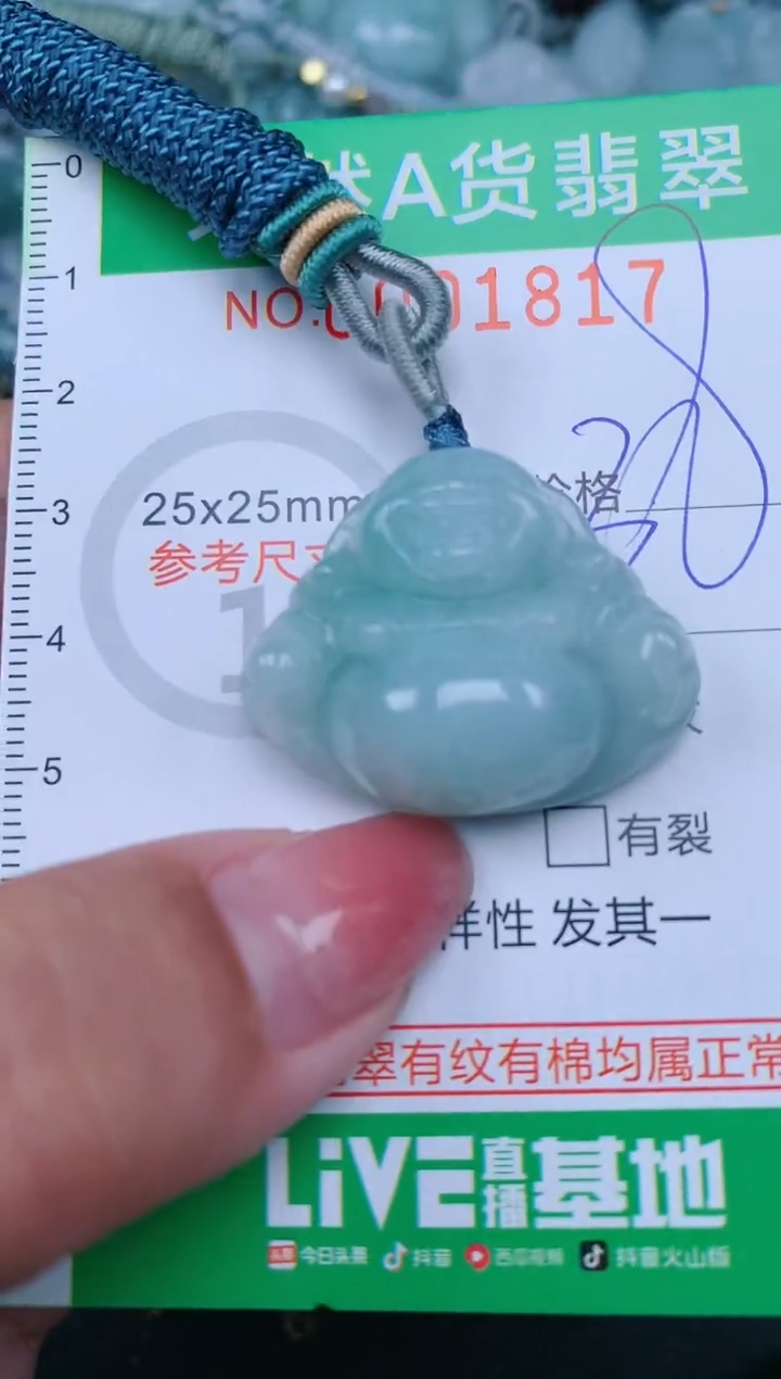 【闪购商品】翡翠颈饰未镶嵌.0001817