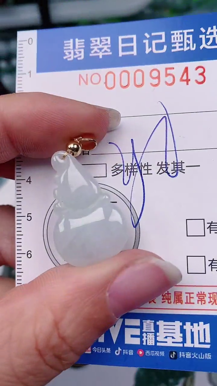 【闪购商品】翡翠颈饰未镶嵌00009543