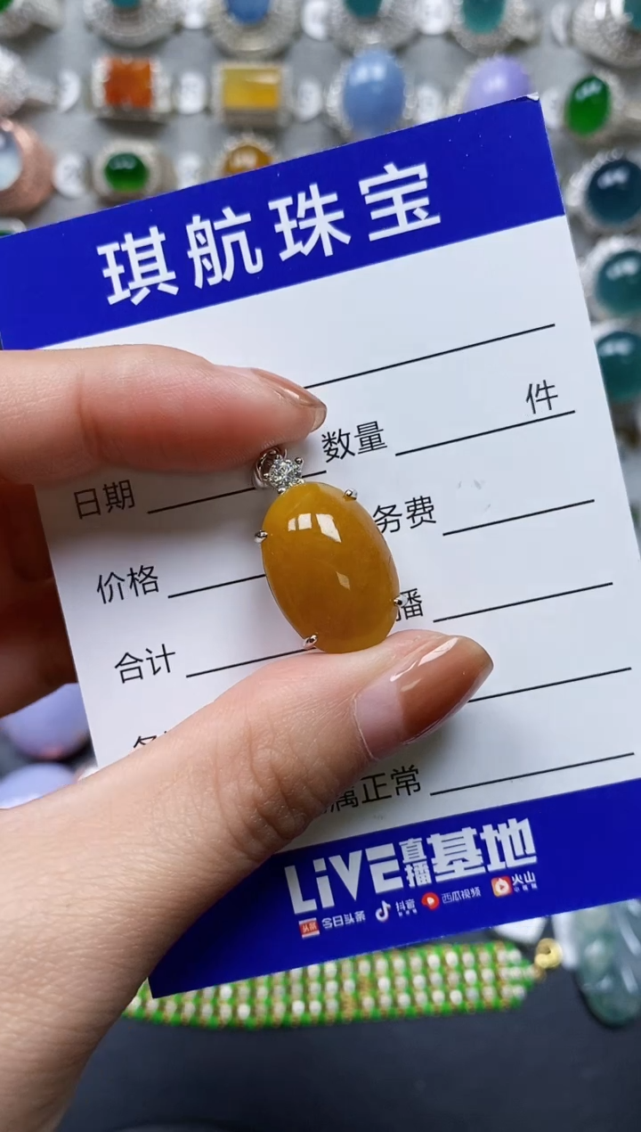 【闪购商品】翡翠颈饰银S925镶嵌0217