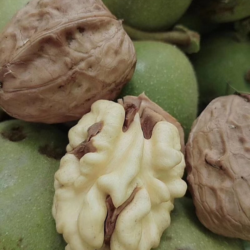 【布依小美蝶】代收农家老树鲜核桃