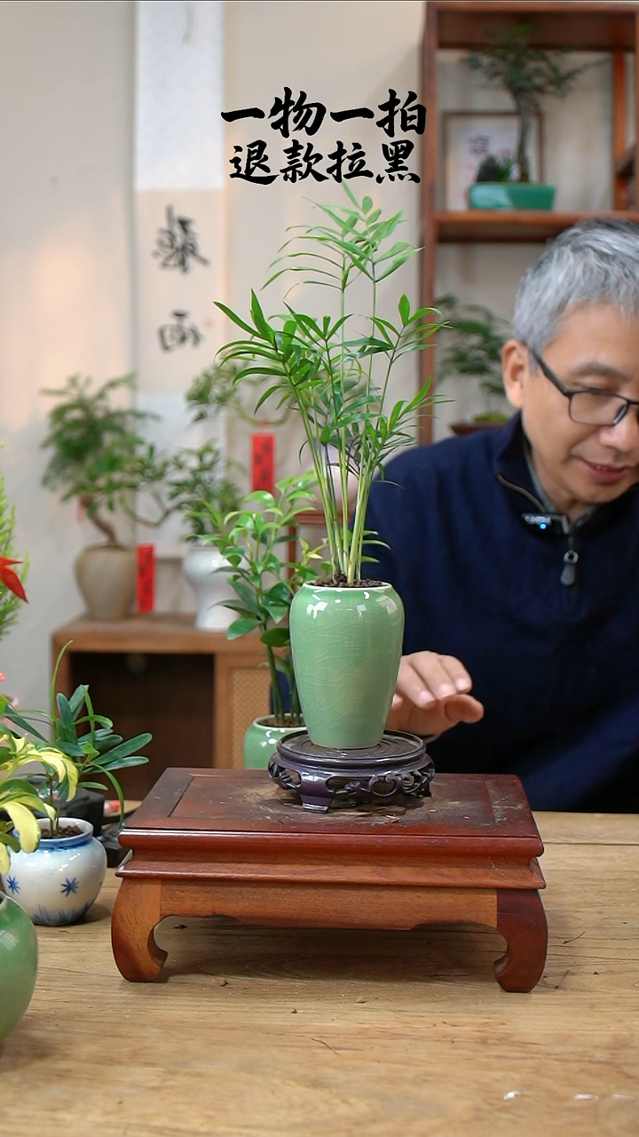 完全开放这***。椰子289
