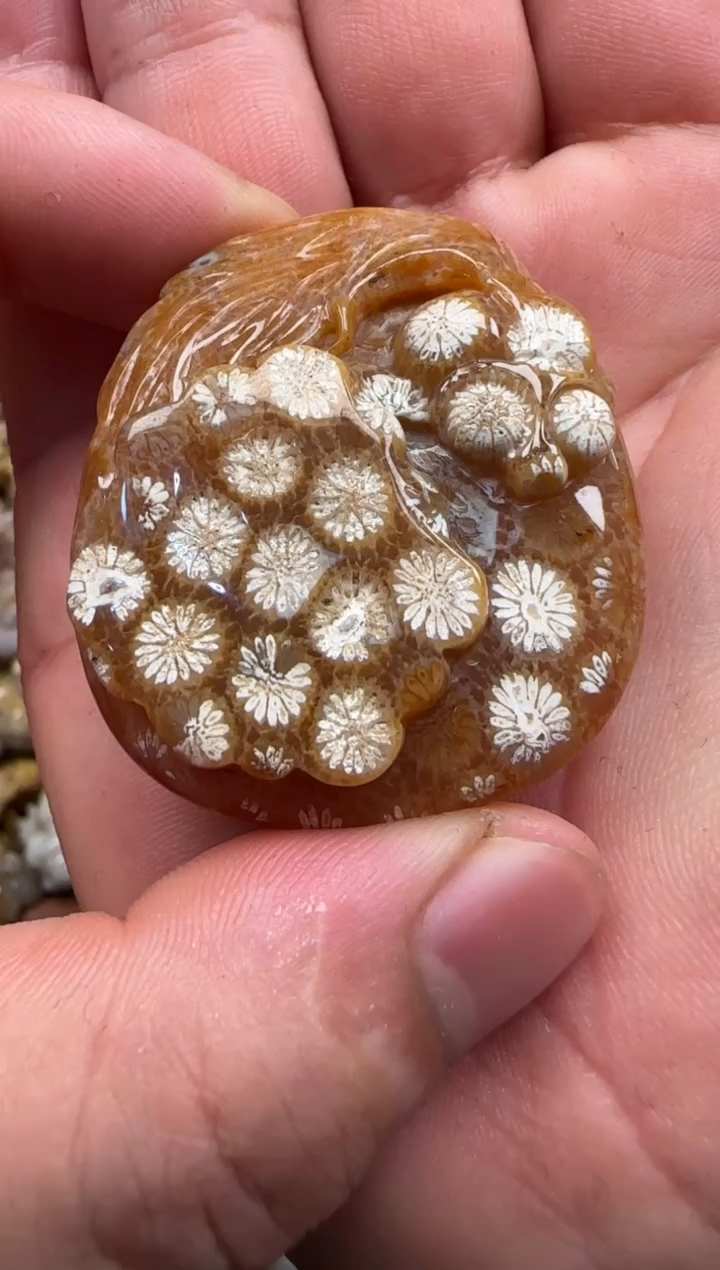 【闪购商品】硅化珊瑚（珊瑚玉）颈饰未镶嵌778