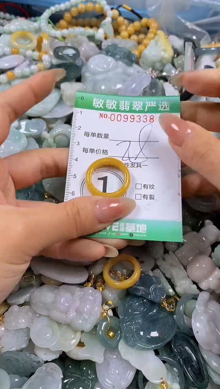 【闪购商品】翡翠颈饰未镶嵌闪购0099338