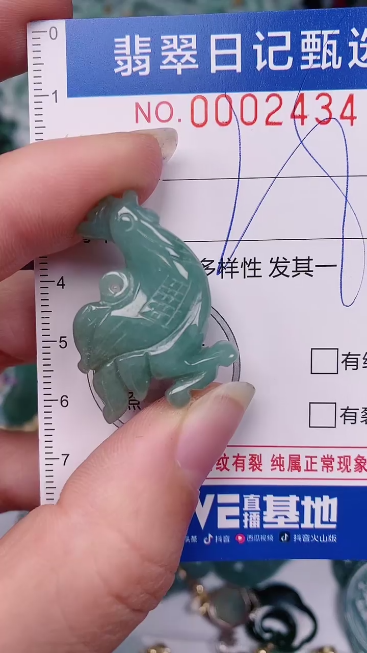 【闪购商品】翡翠颈饰未镶嵌00002434
