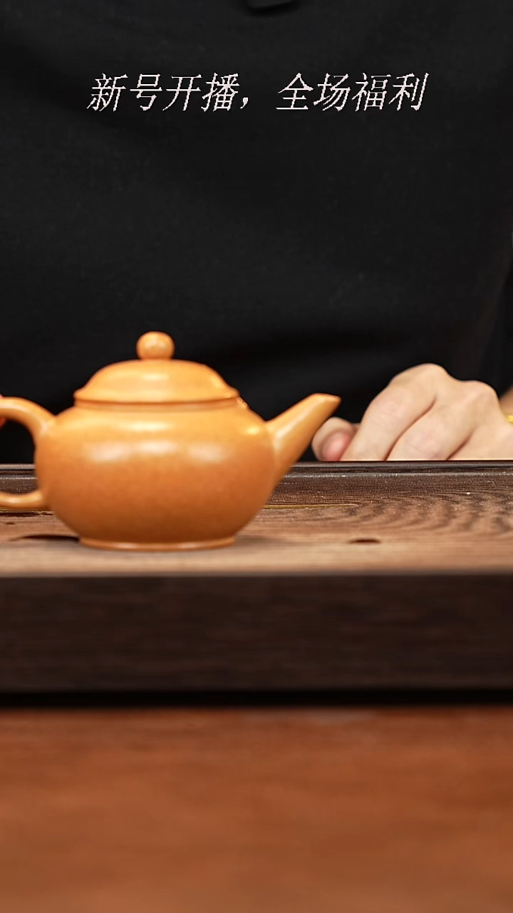 茶壶紫砂23y01黄金段水平