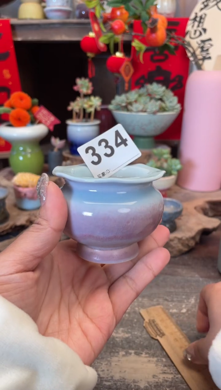 【闪购商品】摆件334知木小芳花盆