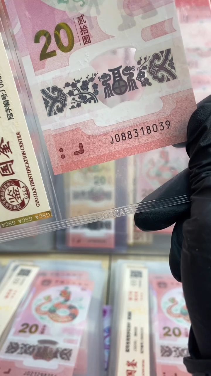 【闪购商品】塑料蛇钞 真钞【单张】8039