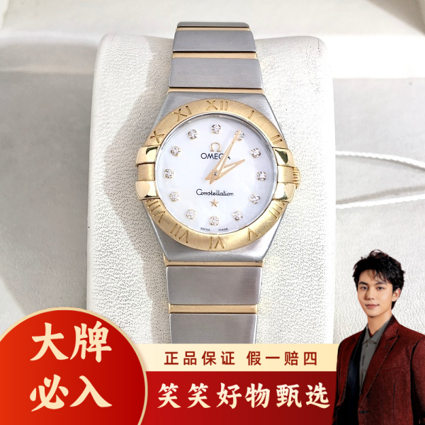 欧米茄/石英表/95新/表径24/S399250106005/250113LK0027