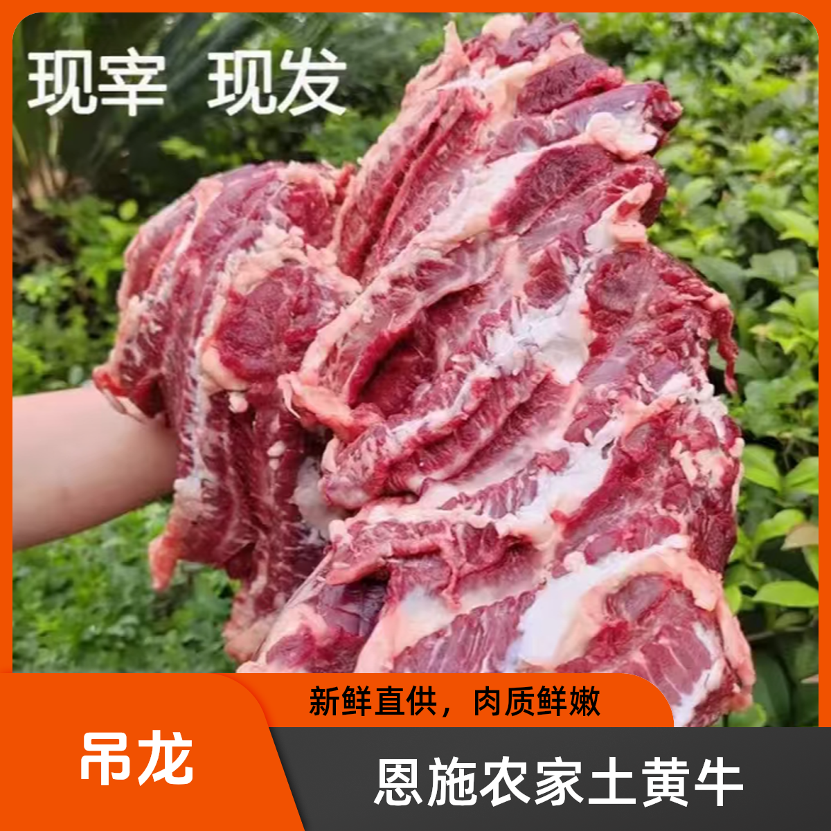【吊龙】恩施本地农家土黄牛顺丰发货