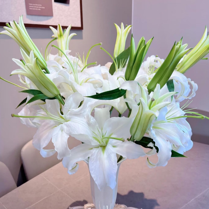【西伯利亚白百合】百合花香水百合云南鲜花基地发鲜切花两单发顺丰