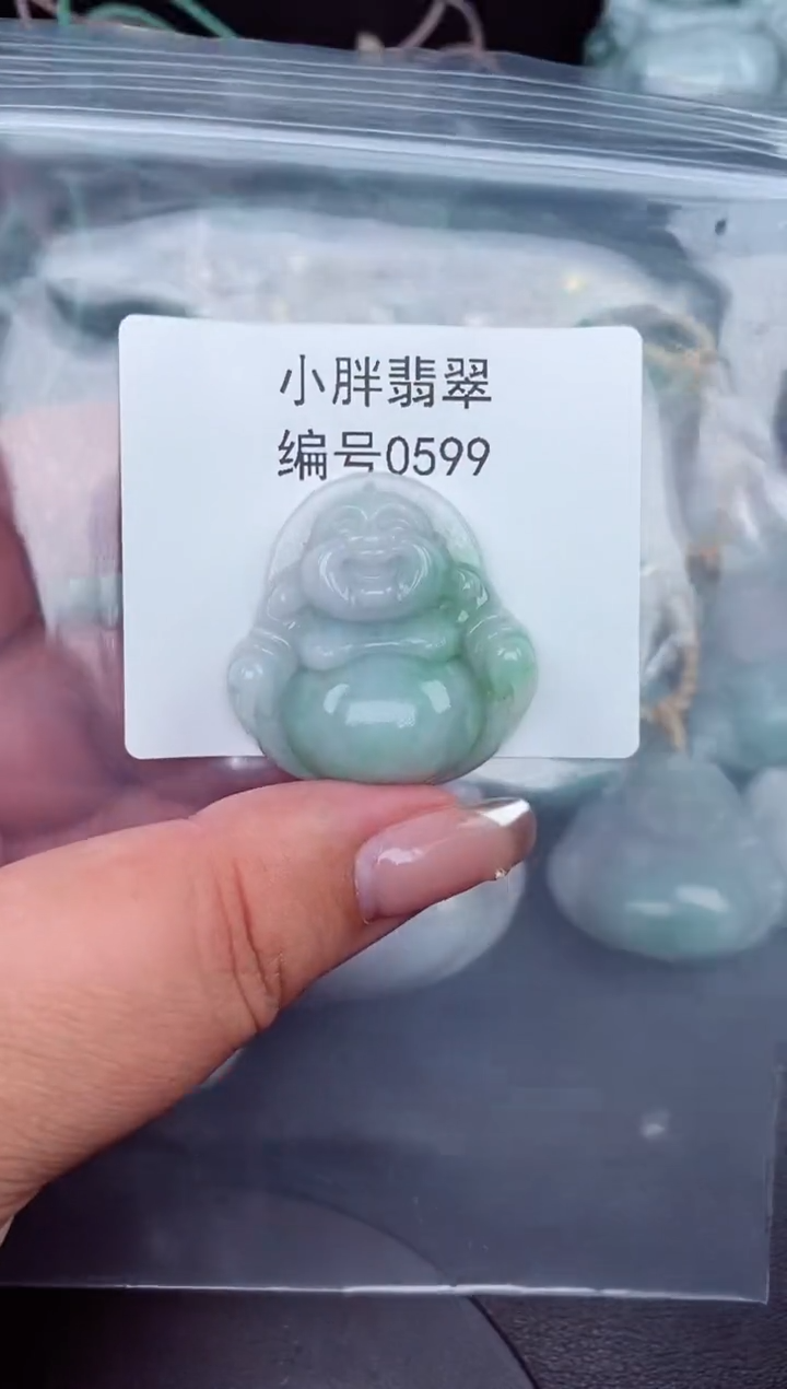 翡翠未镶嵌颈饰缅甸天然A货翡翠0599