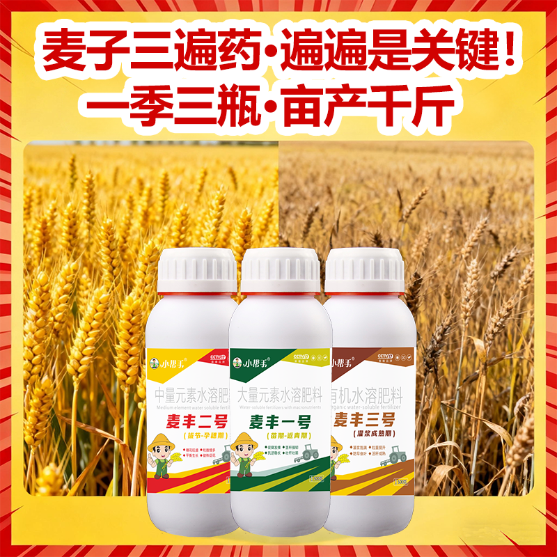 小帮手抗寒防冻壮苗促茎抗逆抗倒伏穗大粒饱水溶肥料