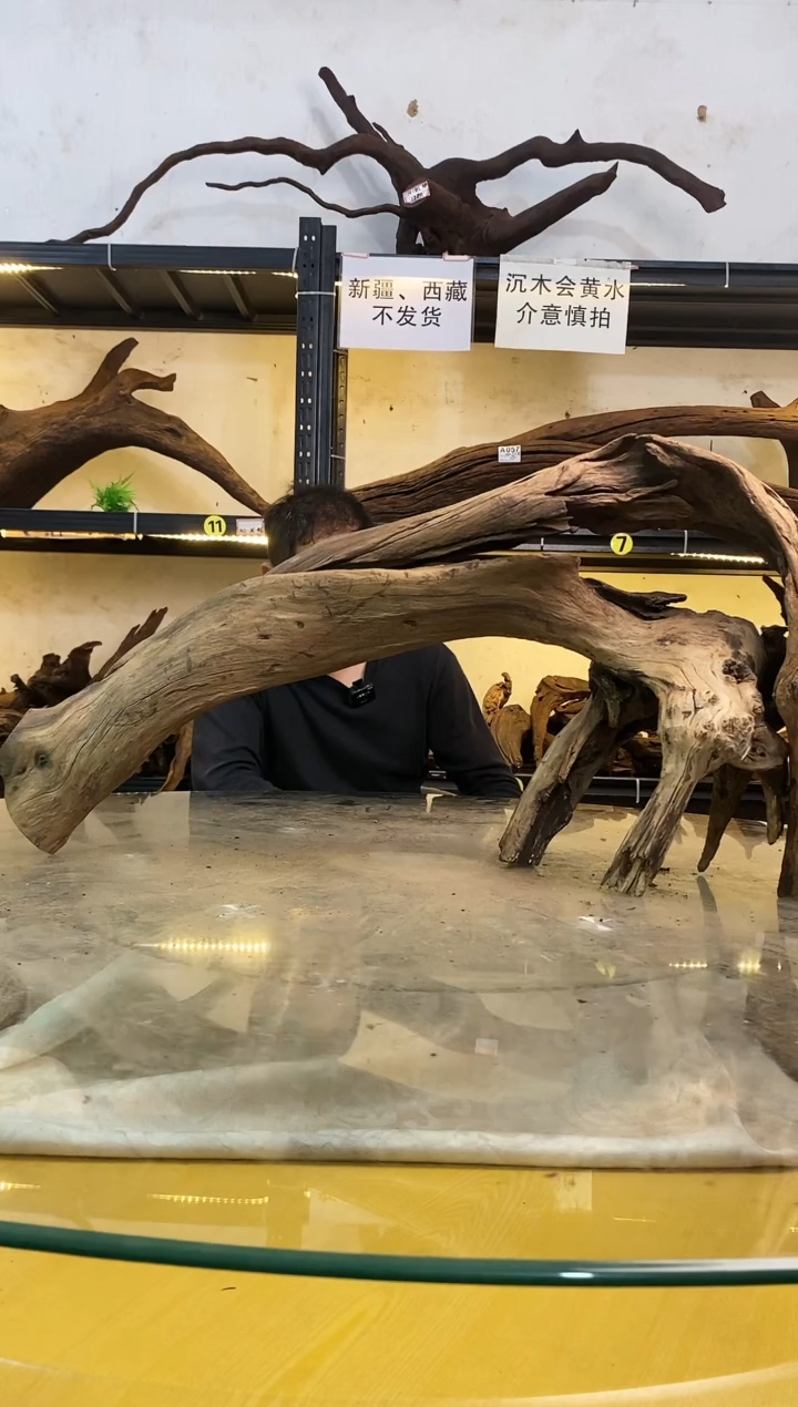 【闪购商品】柚木木艺114鱼缸造景泡沉木