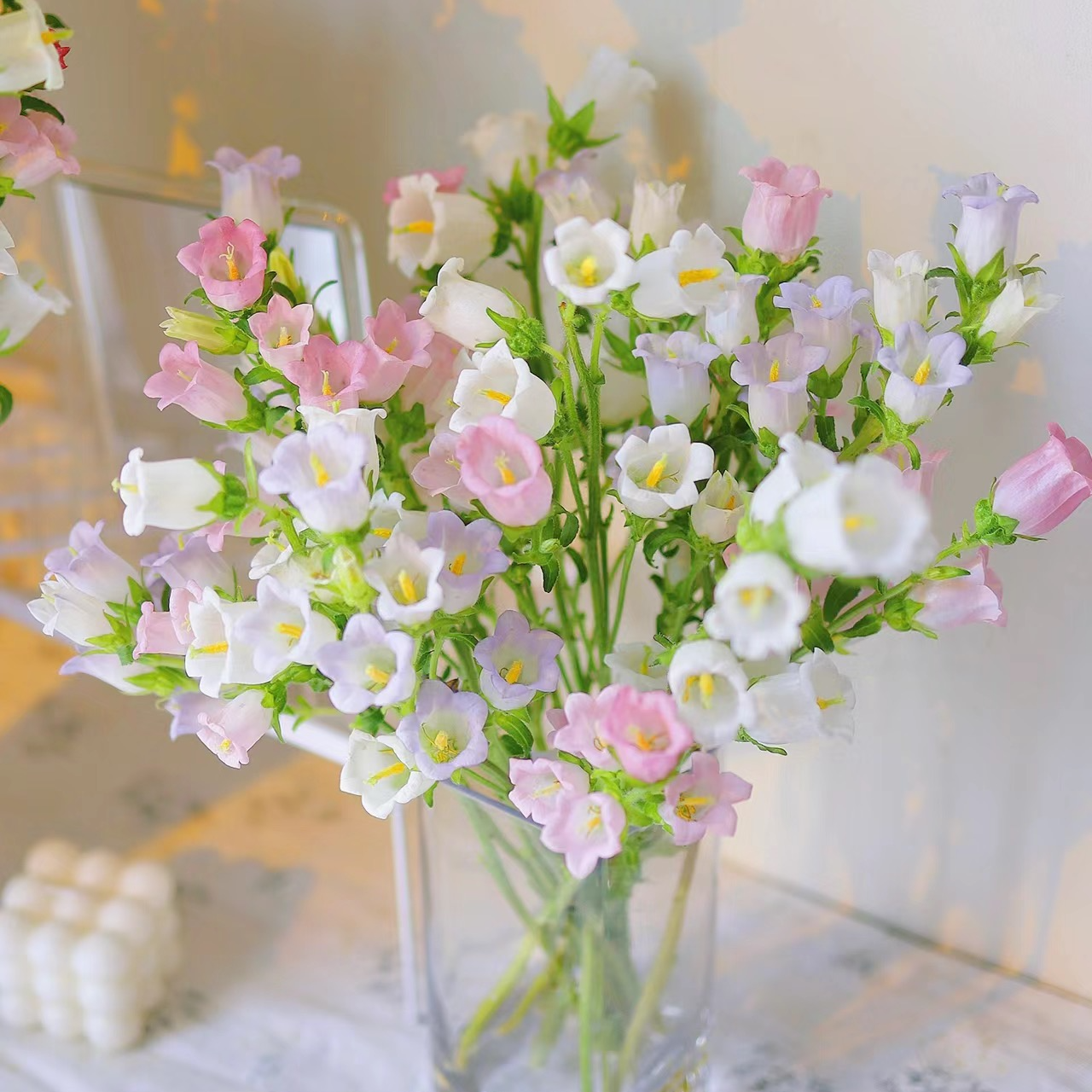 【风铃花】云南基地直发鲜花家用水养鲜切花生日鲜花花束