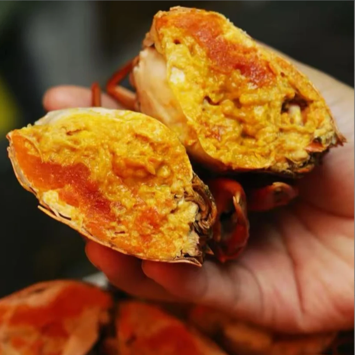 【买3只送1只】红膏蟹 包活到家 有黄有膏4-5两/只 WZ蟹同城配送