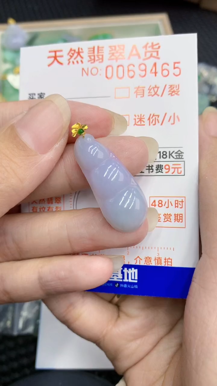 【闪购商品】翡翠颈饰18K金镶嵌            8