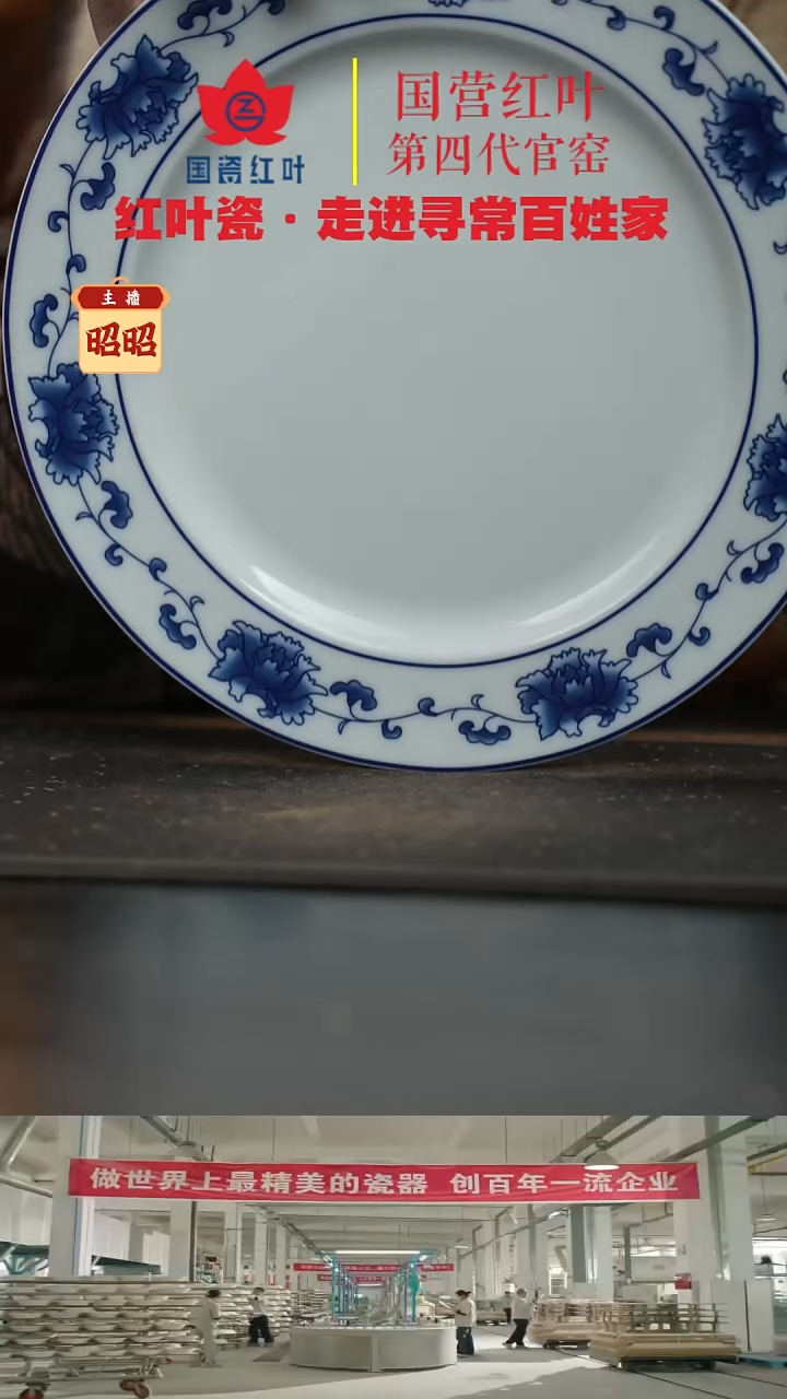 陶瓷1个微瑕满汉全席10英寸平盘
