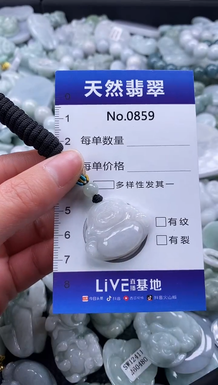 【闪购商品】翡翠颈饰未镶嵌缅甸A货翡翠0859