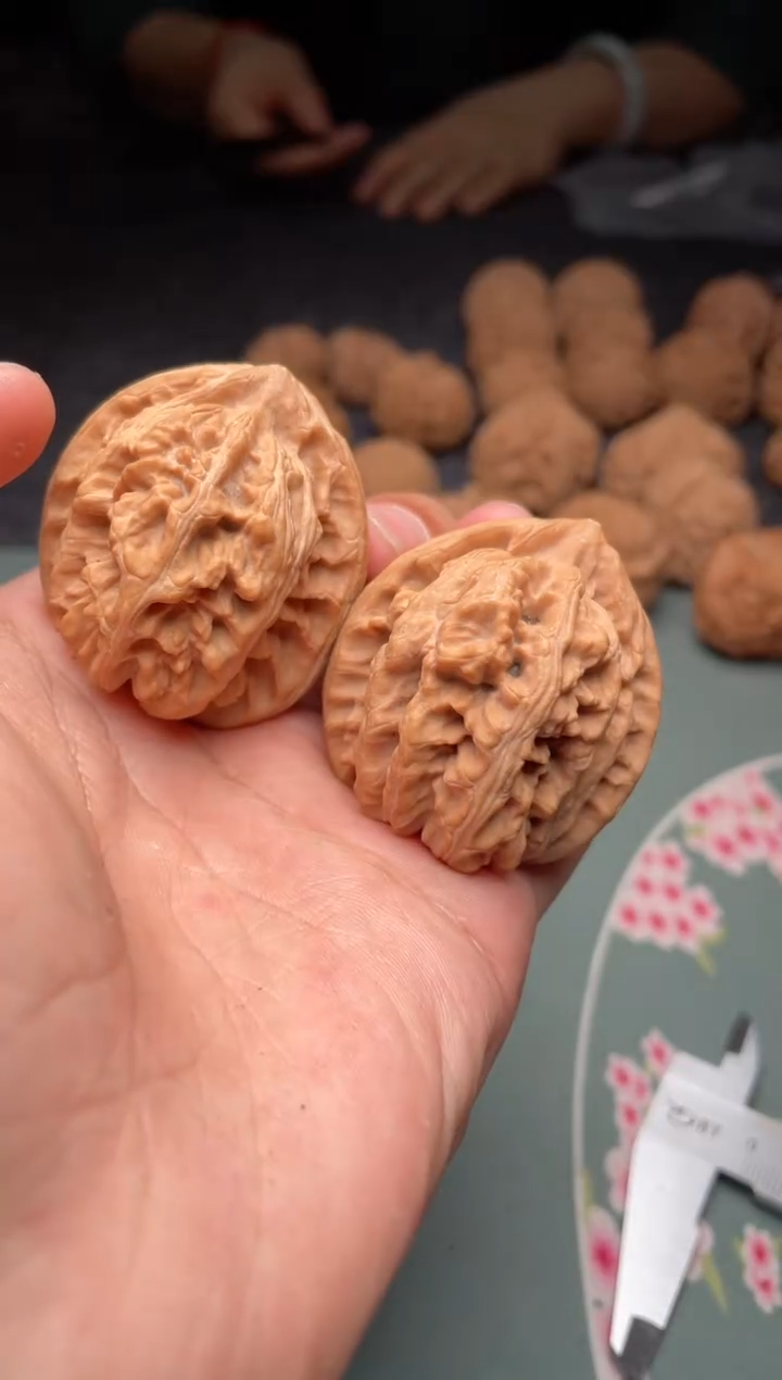 核桃a263  三阳谷 40尺