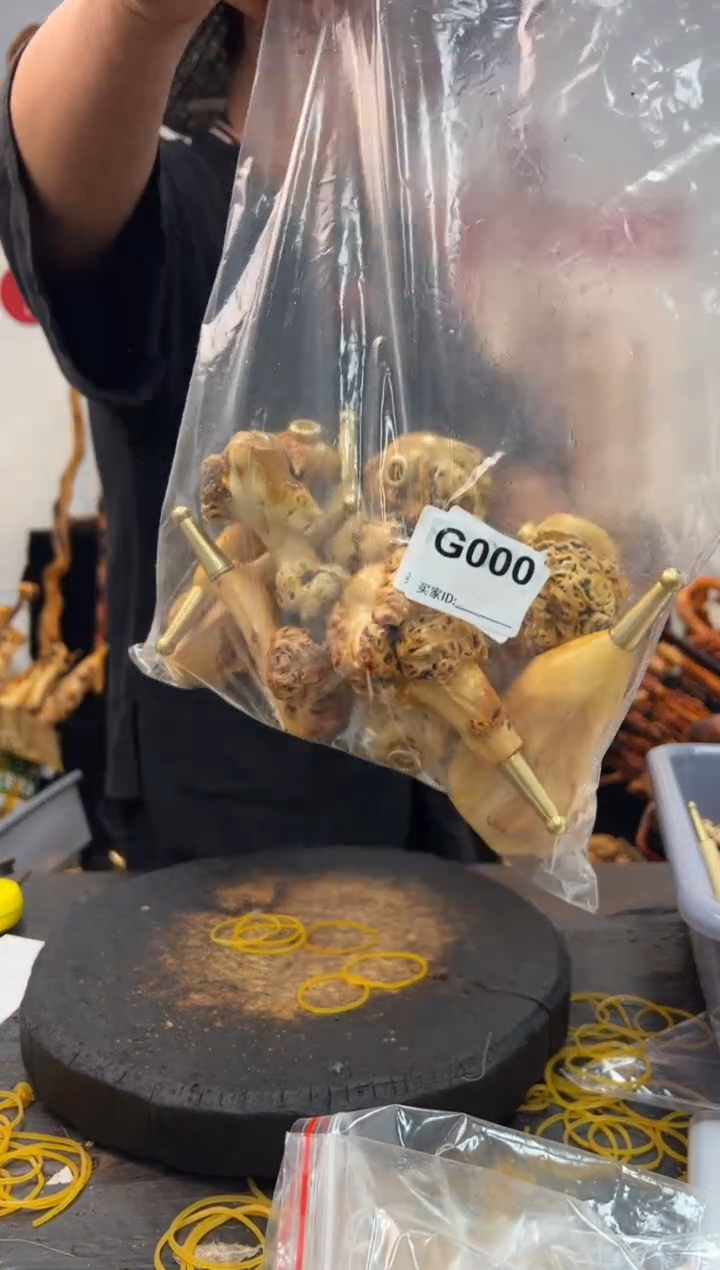 黑果木其他黑果木280