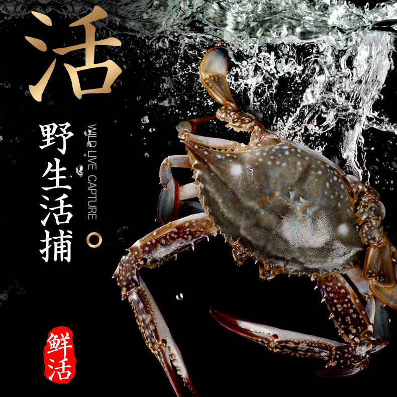 【包活】梭子蟹 约140g/只（带皮筋）两【保鲜不保活】梭子蟹同城