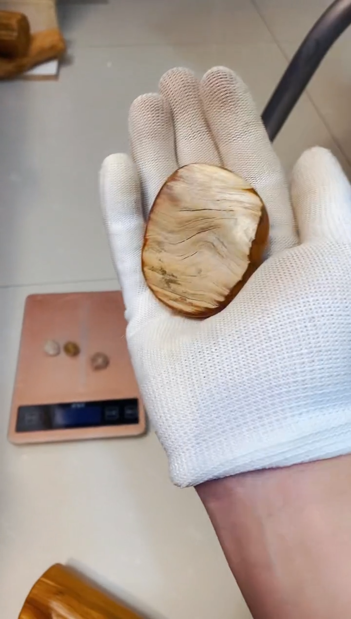 【闪购商品】柏木76崖柏崖柏崖柏