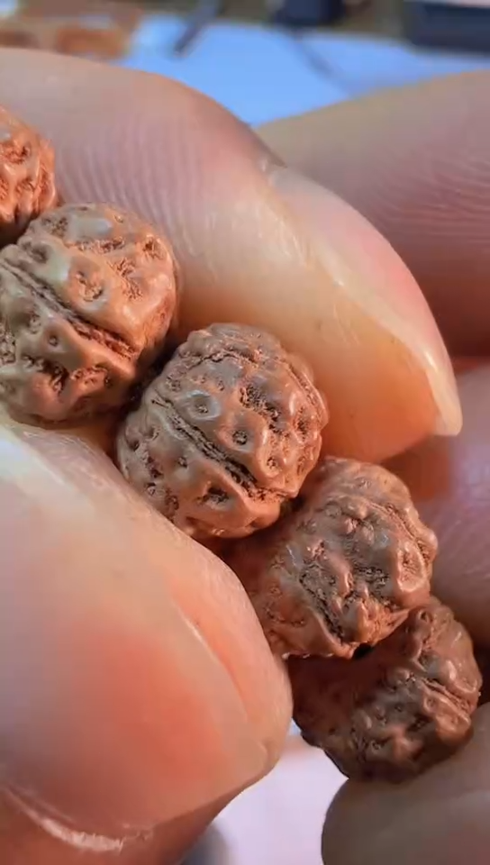 【闪购商品】金刚菩提手串勿里达六瓣