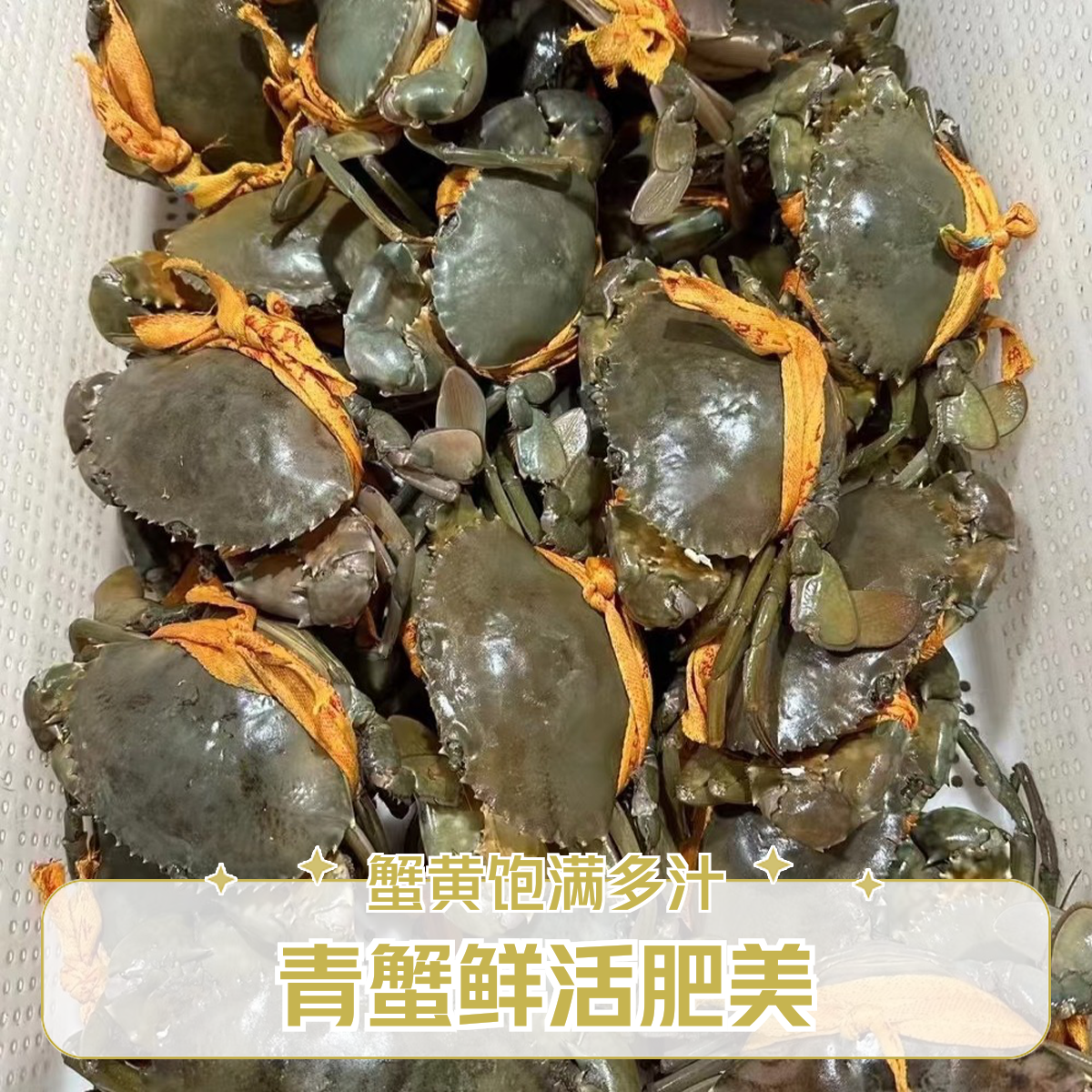 【鲜活】肉蟹 1只 约4两/只·可炒香辣避风塘清蒸蒜蓉