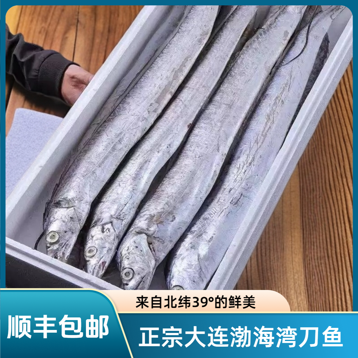 大连渤海湾深海刀鱼特大整条装小眼带鱼